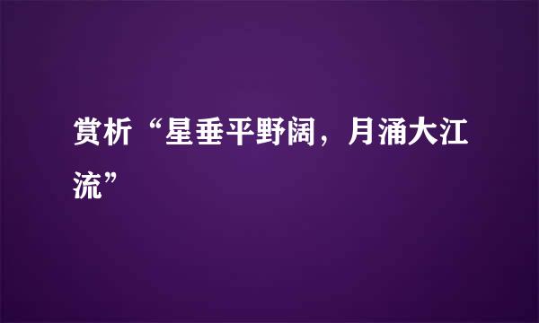 赏析“星垂平野阔，月涌大江流”