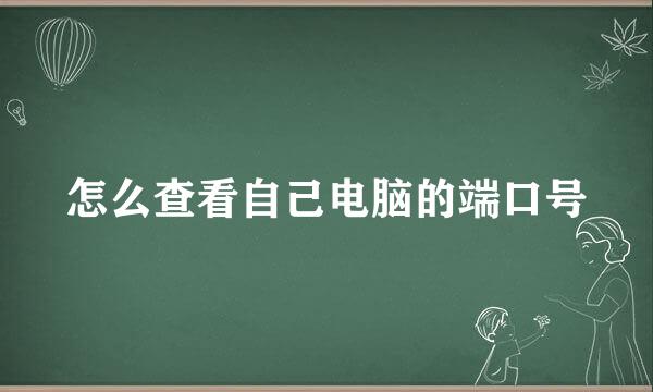 怎么查看自己电脑的端口号