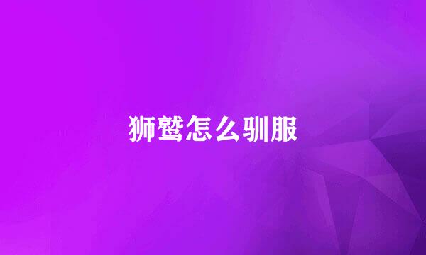 狮鹫怎么驯服