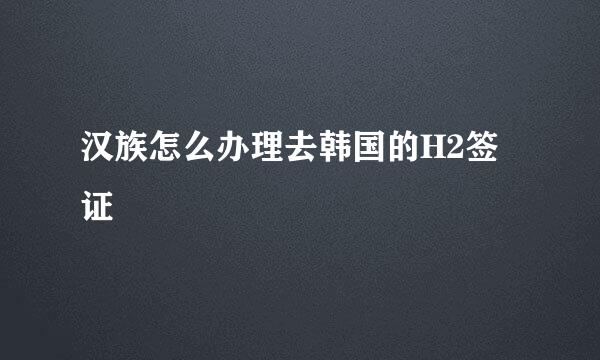 汉族怎么办理去韩国的H2签证