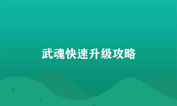 武魂快速升级攻略