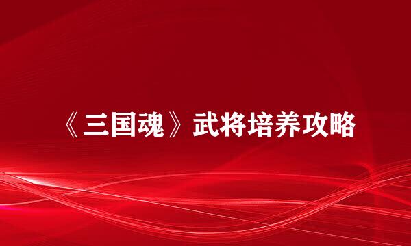 《三国魂》武将培养攻略