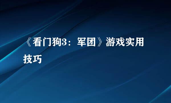 《看门狗3：军团》游戏实用技巧