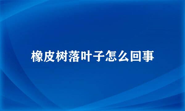 橡皮树落叶子怎么回事
