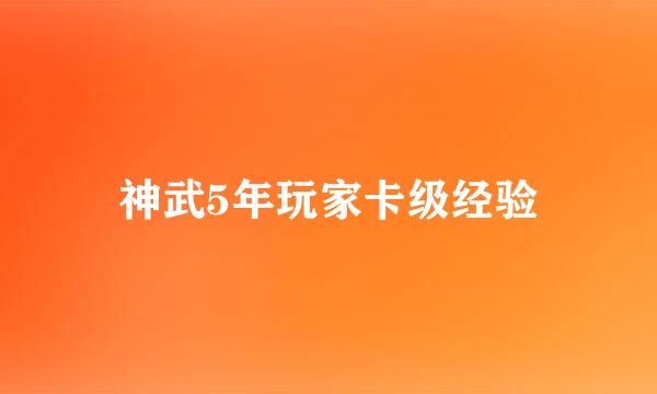 神武5年玩家卡级经验