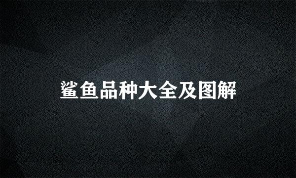 鲨鱼品种大全及图解