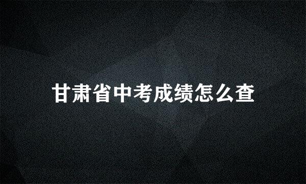 甘肃省中考成绩怎么查