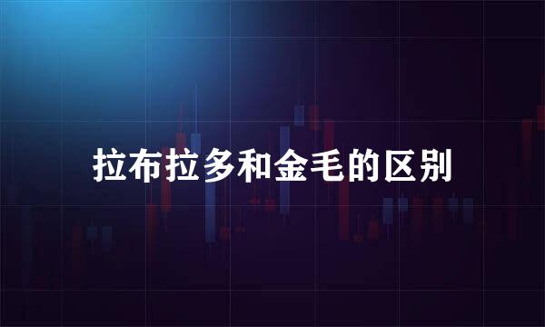 拉布拉多和金毛的区别