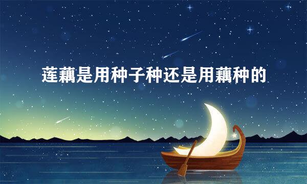 莲藕是用种子种还是用藕种的
