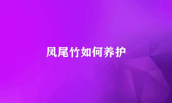 凤尾竹如何养护