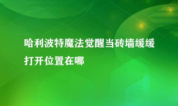 哈利波特魔法觉醒当砖墙缓缓打开位置在哪