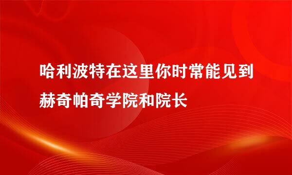 哈利波特在这里你时常能见到赫奇帕奇学院和院长