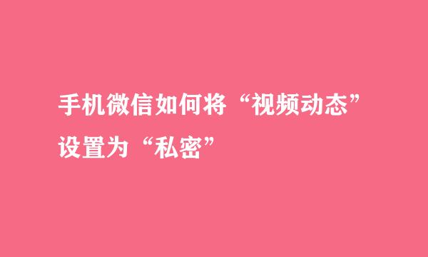 手机微信如何将“视频动态”设置为“私密”