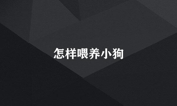 怎样喂养小狗