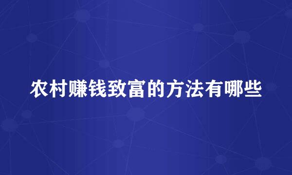 农村赚钱致富的方法有哪些