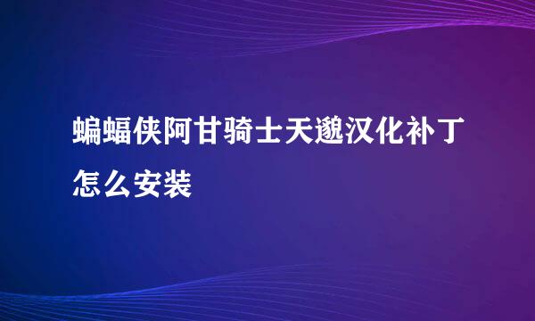 蝙蝠侠阿甘骑士天邈汉化补丁怎么安装