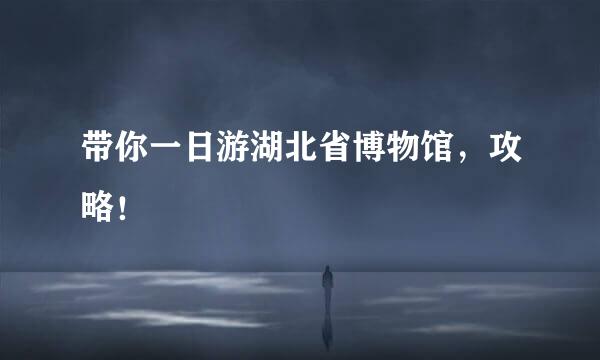 带你一日游湖北省博物馆，攻略！
