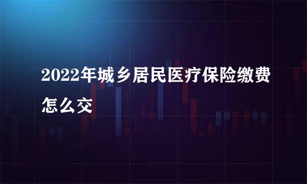 2022年城乡居民医疗保险缴费怎么交