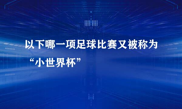以下哪一项足球比赛又被称为“小世界杯”