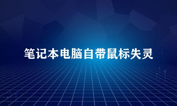 笔记本电脑自带鼠标失灵