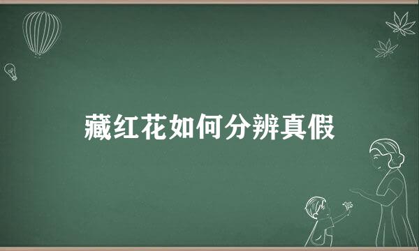 藏红花如何分辨真假
