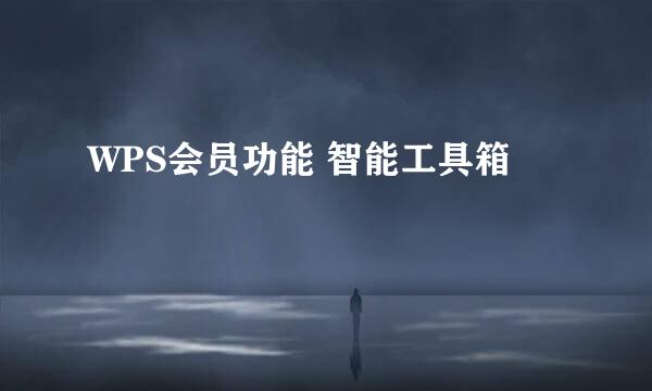 WPS会员功能 智能工具箱