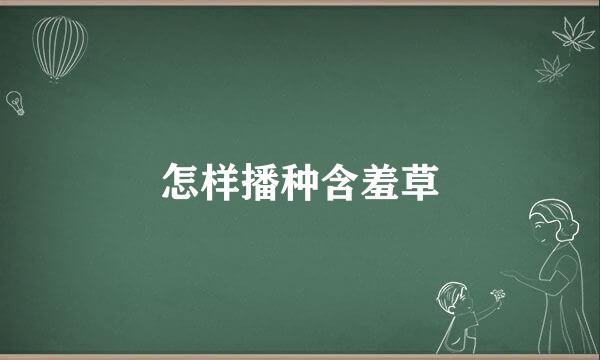 怎样播种含羞草