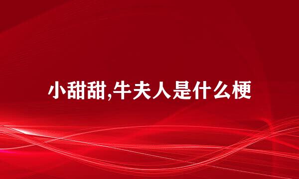 小甜甜,牛夫人是什么梗