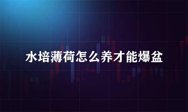 水培薄荷怎么养才能爆盆