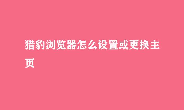 猎豹浏览器怎么设置或更换主页