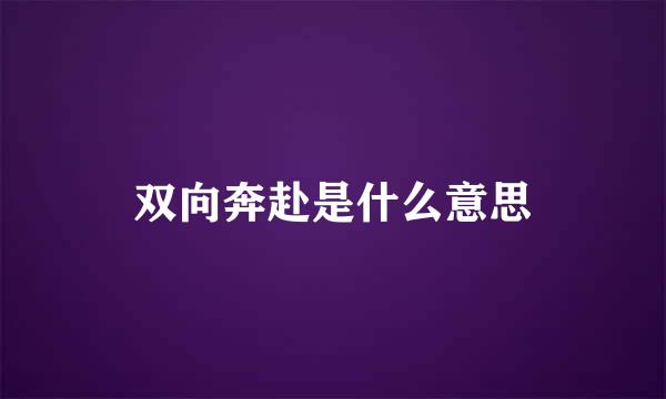 双向奔赴是什么意思