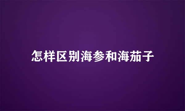 怎样区别海参和海茄子