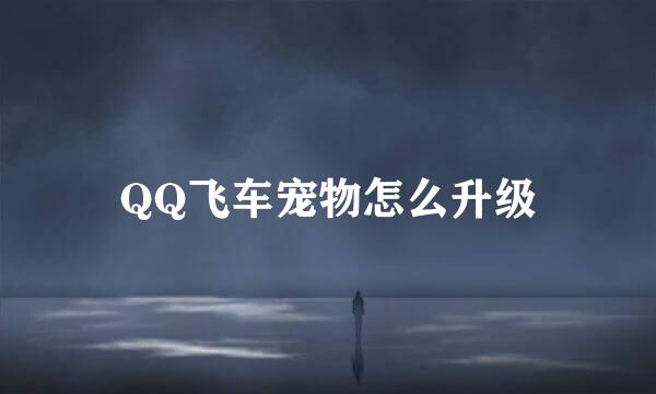 QQ飞车宠物怎么升级