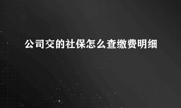 公司交的社保怎么查缴费明细