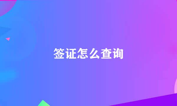签证怎么查询