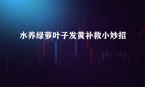 水养绿萝叶子发黄补救小妙招