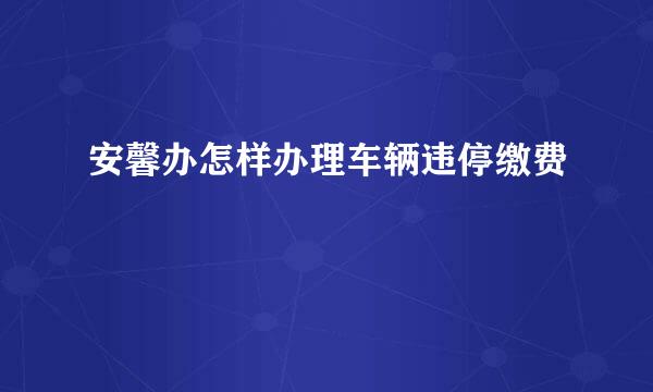 安馨办怎样办理车辆违停缴费