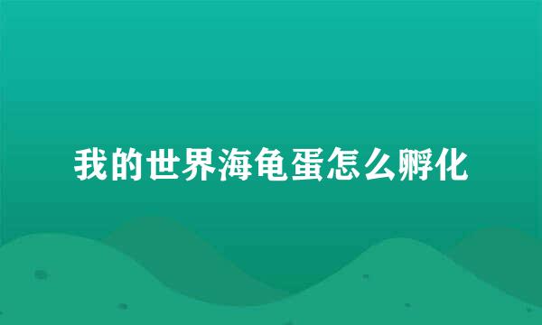 我的世界海龟蛋怎么孵化