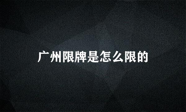 广州限牌是怎么限的