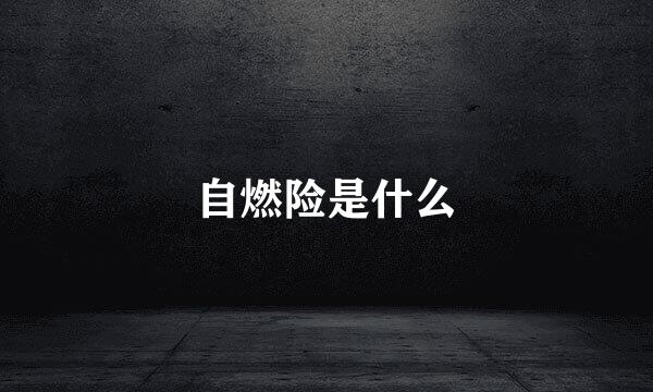 自燃险是什么