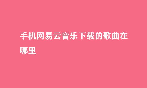 手机网易云音乐下载的歌曲在哪里