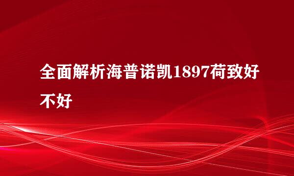 全面解析海普诺凯1897荷致好不好