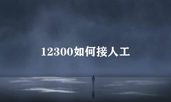 12300如何接人工