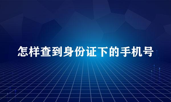 怎样查到身份证下的手机号
