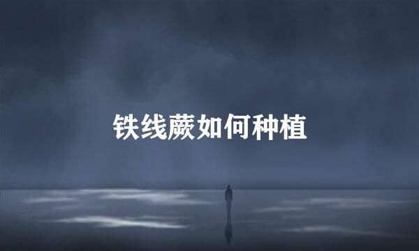 铁线蕨如何种植