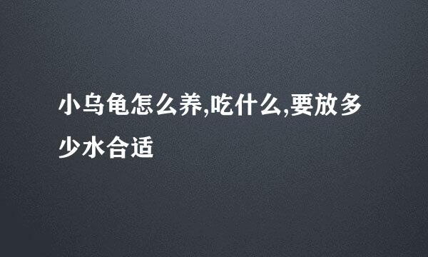 小乌龟怎么养,吃什么,要放多少水合适