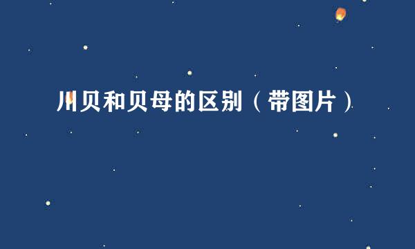 川贝和贝母的区别（带图片）