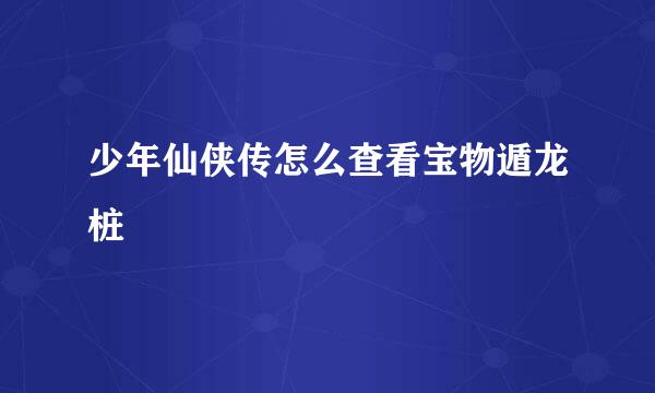 少年仙侠传怎么查看宝物遁龙桩