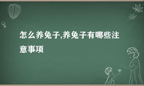 怎么养兔子,养兔子有哪些注意事项