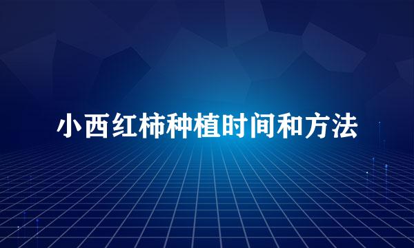 小西红柿种植时间和方法